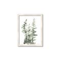 Picture of Eucalyptus Growing I _GroupedProduct_Rectangle_Portrait_Framed_Matted_