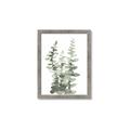 Picture of Eucalyptus Growing I _GroupedProduct_Rectangle_Portrait_Framed_Matted_