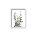 Picture of Eucalyptus Growing I _GroupedProduct_Rectangle_Portrait_Framed_Matted_