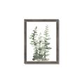 Picture of Eucalyptus Growing I _GroupedProduct_Rectangle_Portrait_Framed_Matted_
