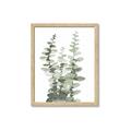 Picture of Eucalyptus Growing I _GroupedProduct_Rectangle_Portrait_Framed_Matted_