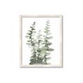 Picture of Eucalyptus Growing I _GroupedProduct_Rectangle_Portrait_Framed_Matted_