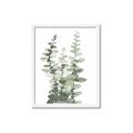 Picture of Eucalyptus Growing I _GroupedProduct_Rectangle_Portrait_Framed_Matted_