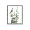 Picture of Eucalyptus Growing I _GroupedProduct_Rectangle_Portrait_Framed_Matted_