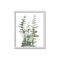 Picture of Eucalyptus Growing I _GroupedProduct_Rectangle_Portrait_Framed_Matted_