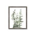Picture of Eucalyptus Growing I _GroupedProduct_Rectangle_Portrait_Framed_Matted_