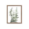 Picture of Eucalyptus Growing I _GroupedProduct_Rectangle_Portrait_Framed_Matted_