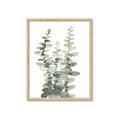 Picture of Eucalyptus Growing I _GroupedProduct_Rectangle_Portrait_Framed_Matted_