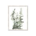 Picture of Eucalyptus Growing I _GroupedProduct_Rectangle_Portrait_Framed_Matted_