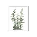 Picture of Eucalyptus Growing I _GroupedProduct_Rectangle_Portrait_Framed_Matted_