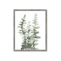 Picture of Eucalyptus Growing I _GroupedProduct_Rectangle_Portrait_Framed_Matted_