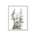 Picture of Eucalyptus Growing I _GroupedProduct_Rectangle_Portrait_Framed_Matted_