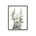Picture of Eucalyptus Growing I _GroupedProduct_Rectangle_Portrait_Framed_Matted_