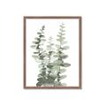 Picture of Eucalyptus Growing I _GroupedProduct_Rectangle_Portrait_Framed_Matted_
