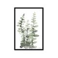 Picture of Eucalyptus Growing I _GroupedProduct_Rectangle_Portrait_Framed_Matted_