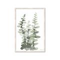 Picture of Eucalyptus Growing I _GroupedProduct_Rectangle_Portrait_Framed_Matted_