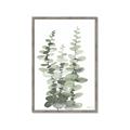 Picture of Eucalyptus Growing I _GroupedProduct_Rectangle_Portrait_Framed_Matted_