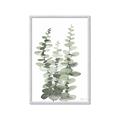 Picture of Eucalyptus Growing I _GroupedProduct_Rectangle_Portrait_Framed_Matted_
