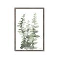 Picture of Eucalyptus Growing I _GroupedProduct_Rectangle_Portrait_Framed_Matted_