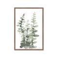 Picture of Eucalyptus Growing I _GroupedProduct_Rectangle_Portrait_Framed_Matted_