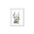 Picture of Eucalyptus Growing I _GroupedProduct_Rectangle_Portrait_Framed_Matted_
