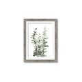 Picture of Eucalyptus Growing I _GroupedProduct_Rectangle_Portrait_Framed_Matted_
