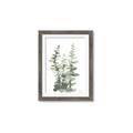 Picture of Eucalyptus Growing I _GroupedProduct_Rectangle_Portrait_Framed_Matted_