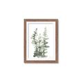 Picture of Eucalyptus Growing I _GroupedProduct_Rectangle_Portrait_Framed_Matted_