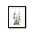 Picture of Eucalyptus Growing I _GroupedProduct_Rectangle_Portrait_Framed_Matted_