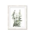 Picture of Eucalyptus Growing I _GroupedProduct_Rectangle_Portrait_Framed_Matted_