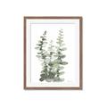 Picture of Eucalyptus Growing I _GroupedProduct_Rectangle_Portrait_Framed_Matted_