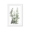 Picture of Eucalyptus Growing I _GroupedProduct_Rectangle_Portrait_Framed_Matted_