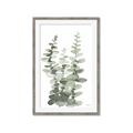 Picture of Eucalyptus Growing I _GroupedProduct_Rectangle_Portrait_Framed_Matted_