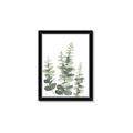 Picture of Eucalyptus Growing II  _GroupedProduct_Rectangle_Portrait_Framed_Matted_