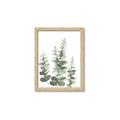 Picture of Eucalyptus Growing II  _GroupedProduct_Rectangle_Portrait_Framed_Matted_