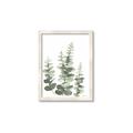 Picture of Eucalyptus Growing II  _GroupedProduct_Rectangle_Portrait_Framed_Matted_