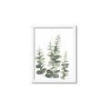 Picture of Eucalyptus Growing II  _GroupedProduct_Rectangle_Portrait_Framed_Matted_