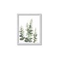 Picture of Eucalyptus Growing II  _GroupedProduct_Rectangle_Portrait_Framed_Matted_