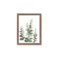 Picture of Eucalyptus Growing II  _GroupedProduct_Rectangle_Portrait_Framed_Matted_
