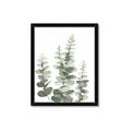 Picture of Eucalyptus Growing II  _GroupedProduct_Rectangle_Portrait_Framed_Matted_