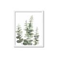 Picture of Eucalyptus Growing II  _GroupedProduct_Rectangle_Portrait_Framed_Matted_
