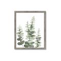 Picture of Eucalyptus Growing II  _GroupedProduct_Rectangle_Portrait_Framed_Matted_