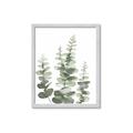 Picture of Eucalyptus Growing II  _GroupedProduct_Rectangle_Portrait_Framed_Matted_