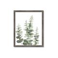 Picture of Eucalyptus Growing II  _GroupedProduct_Rectangle_Portrait_Framed_Matted_