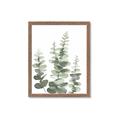 Picture of Eucalyptus Growing II  _GroupedProduct_Rectangle_Portrait_Framed_Matted_