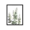 Picture of Eucalyptus Growing II  _GroupedProduct_Rectangle_Portrait_Framed_Matted_