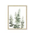 Picture of Eucalyptus Growing II  _GroupedProduct_Rectangle_Portrait_Framed_Matted_