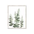 Picture of Eucalyptus Growing II  _GroupedProduct_Rectangle_Portrait_Framed_Matted_