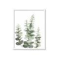 Picture of Eucalyptus Growing II  _GroupedProduct_Rectangle_Portrait_Framed_Matted_