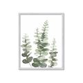 Picture of Eucalyptus Growing II  _GroupedProduct_Rectangle_Portrait_Framed_Matted_